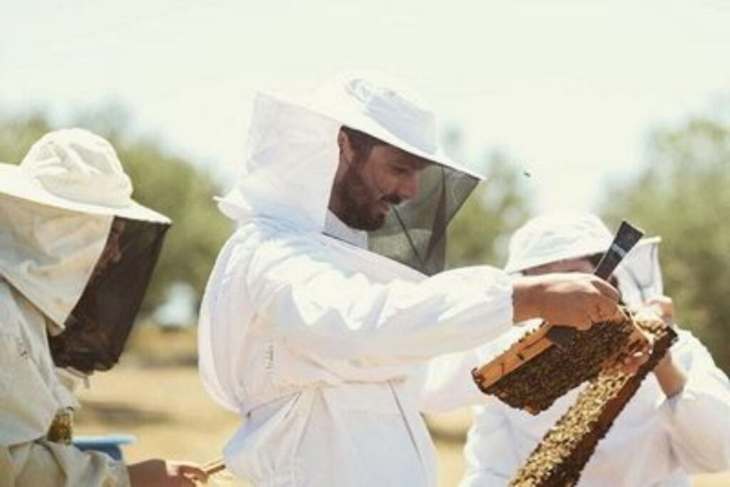 From Nectar to Honey - Gastronomy Tours beekeper 1920 Copy - Gastronomy Tours